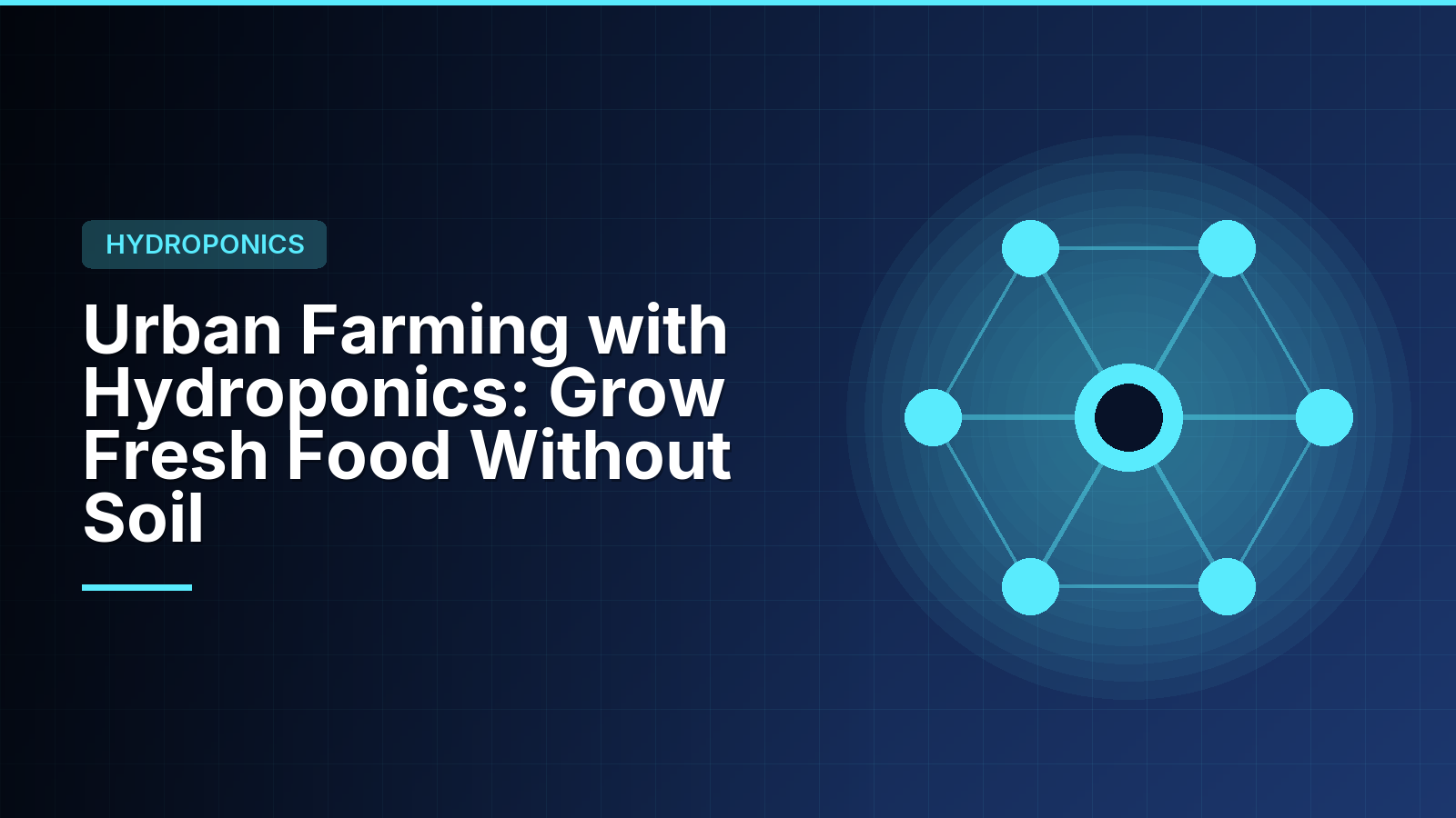 Urban Farming with Hydroponics: Grow Fresh Food Without Soil