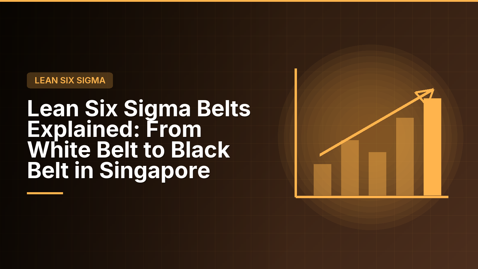 Lean Six Sigma Belts Explained: From White Belt to Black Belt in Singapore