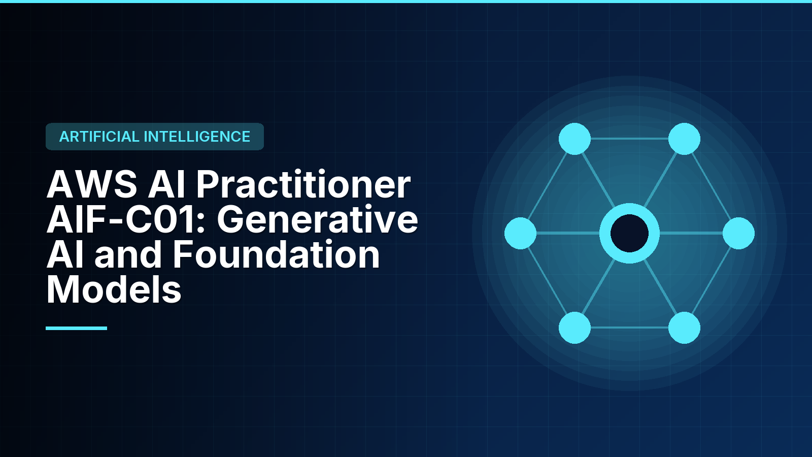 WSQ AWS Certified AI Practitioner Training Singapore: AIF-C01 Exam Domains and Funding