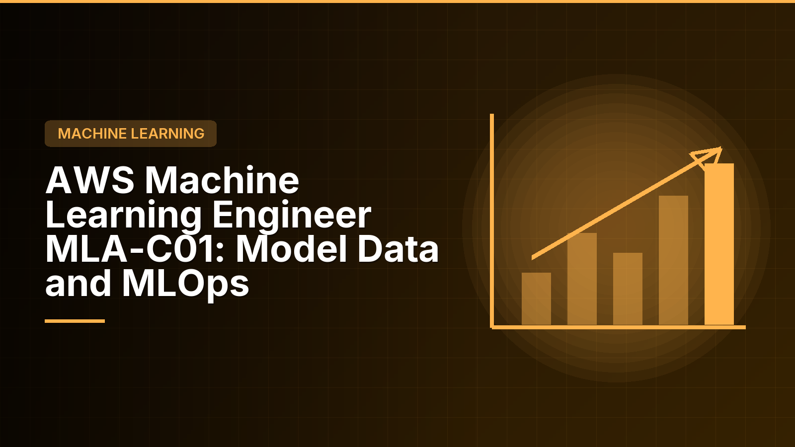 WSQ AWS Certified Machine Learning Engineer Associate Training Singapore: MLA-C01 Exam Domains and Funding