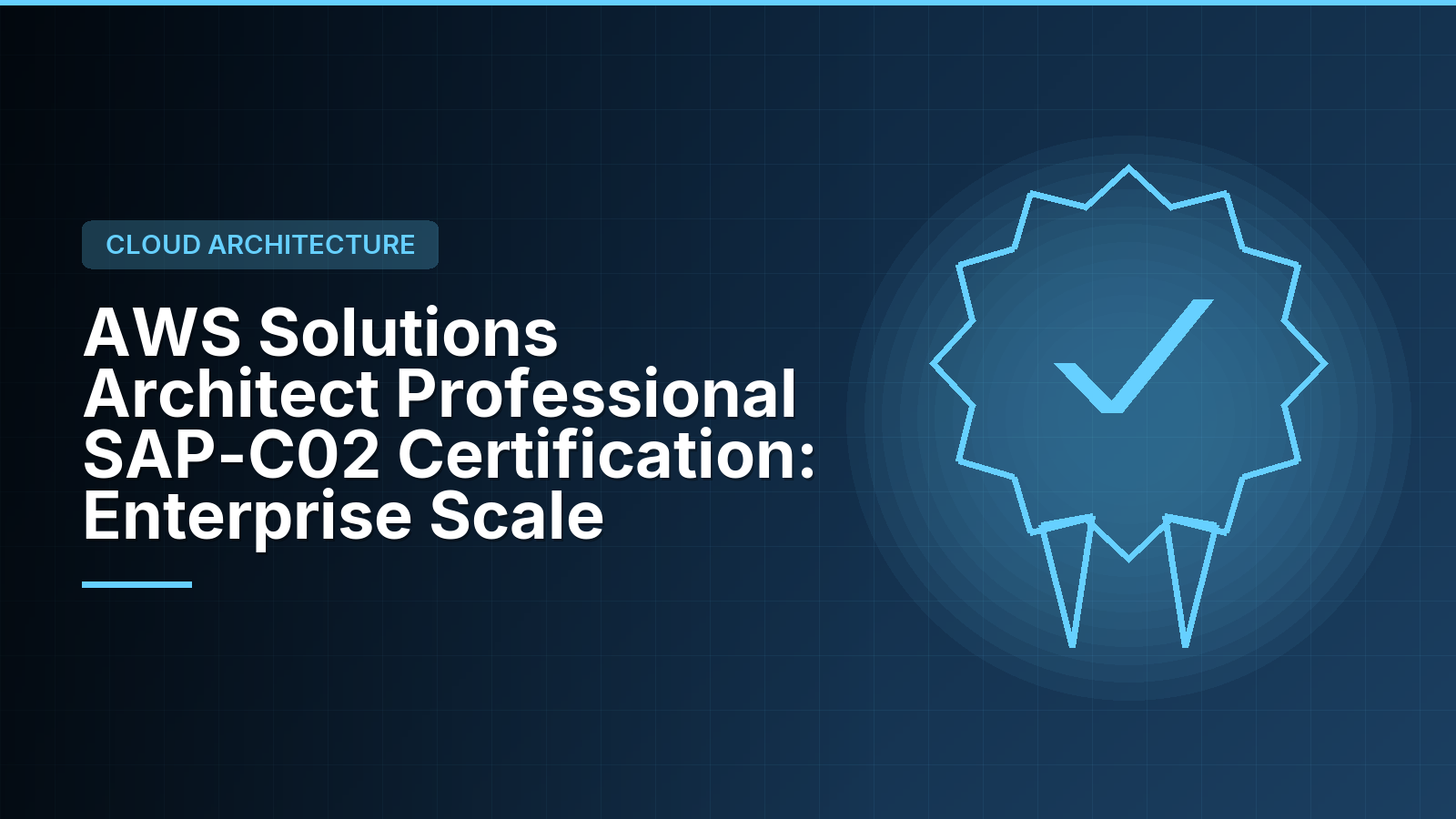 WSQ AWS Certified Solutions Architect Professional Training Singapore: SAP-C02 Exam Domains and Funding
