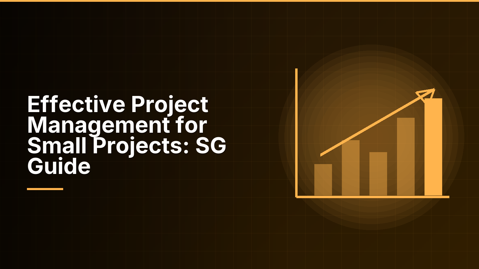Effective Project Management for Small Projects: SG Guide