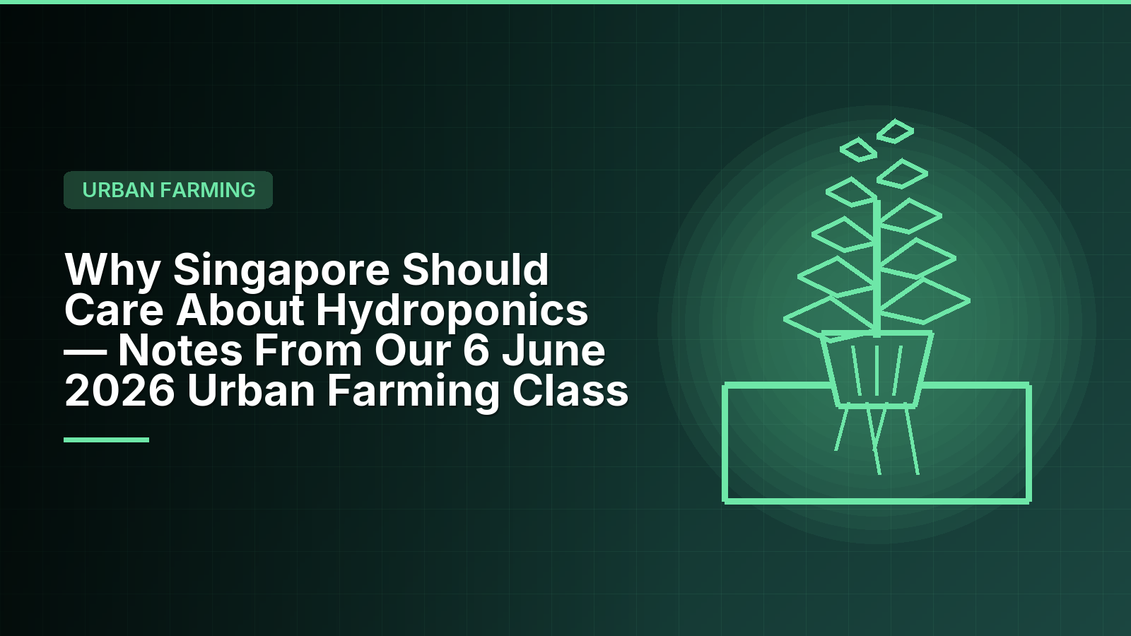 Why Singapore Should Care About Hydroponics &mdash; Notes From Our 6 June 2026 Urban Farming Class