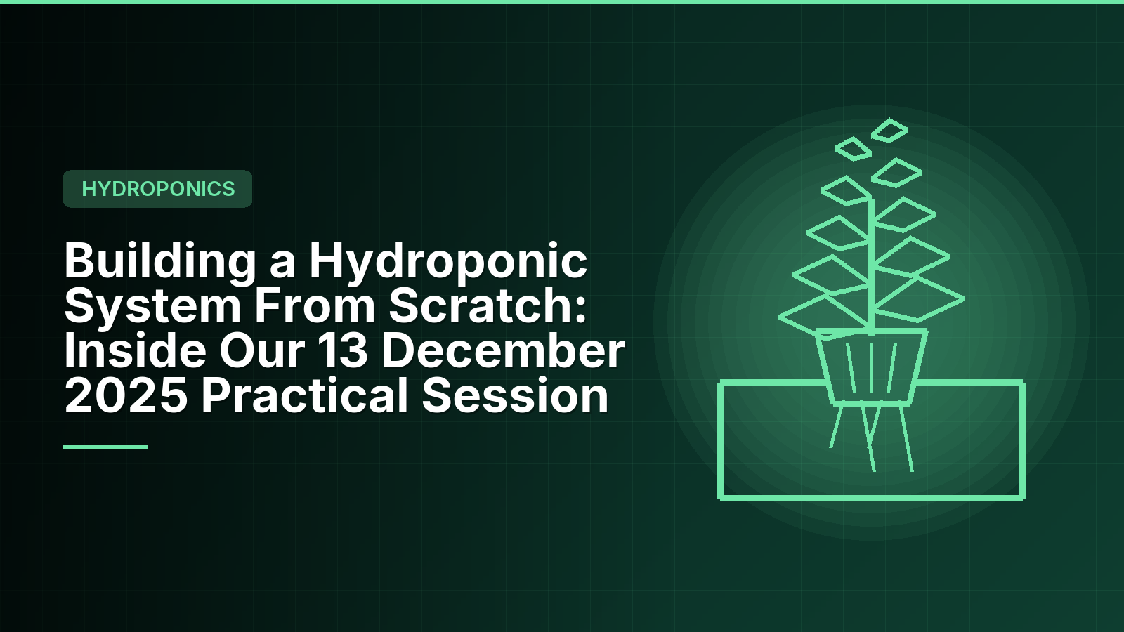 Building a Hydroponic System From Scratch: Inside Our 13 December 2025 Practical Session