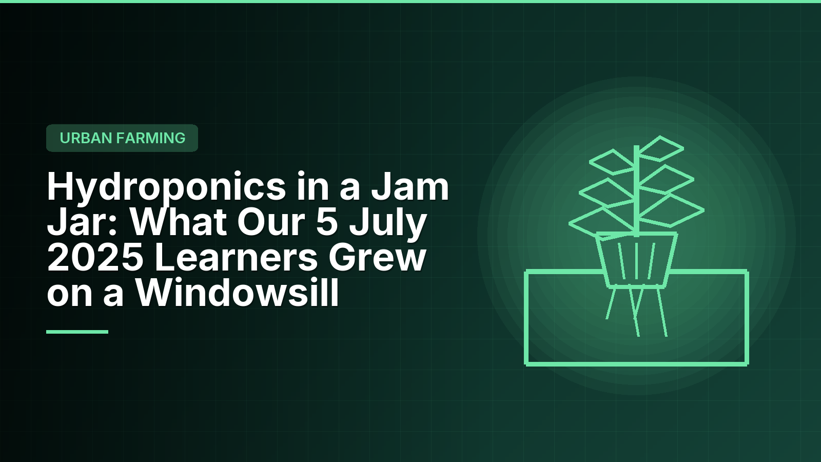 Hydroponics in a Jam Jar: What Our 5 July 2025 Learners Grew on a Windowsill
