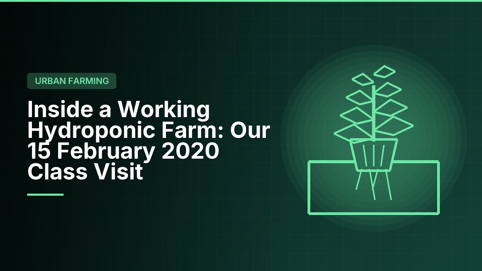 Inside a Working Hydroponic Farm: Our 15 February 2020 Class Visit