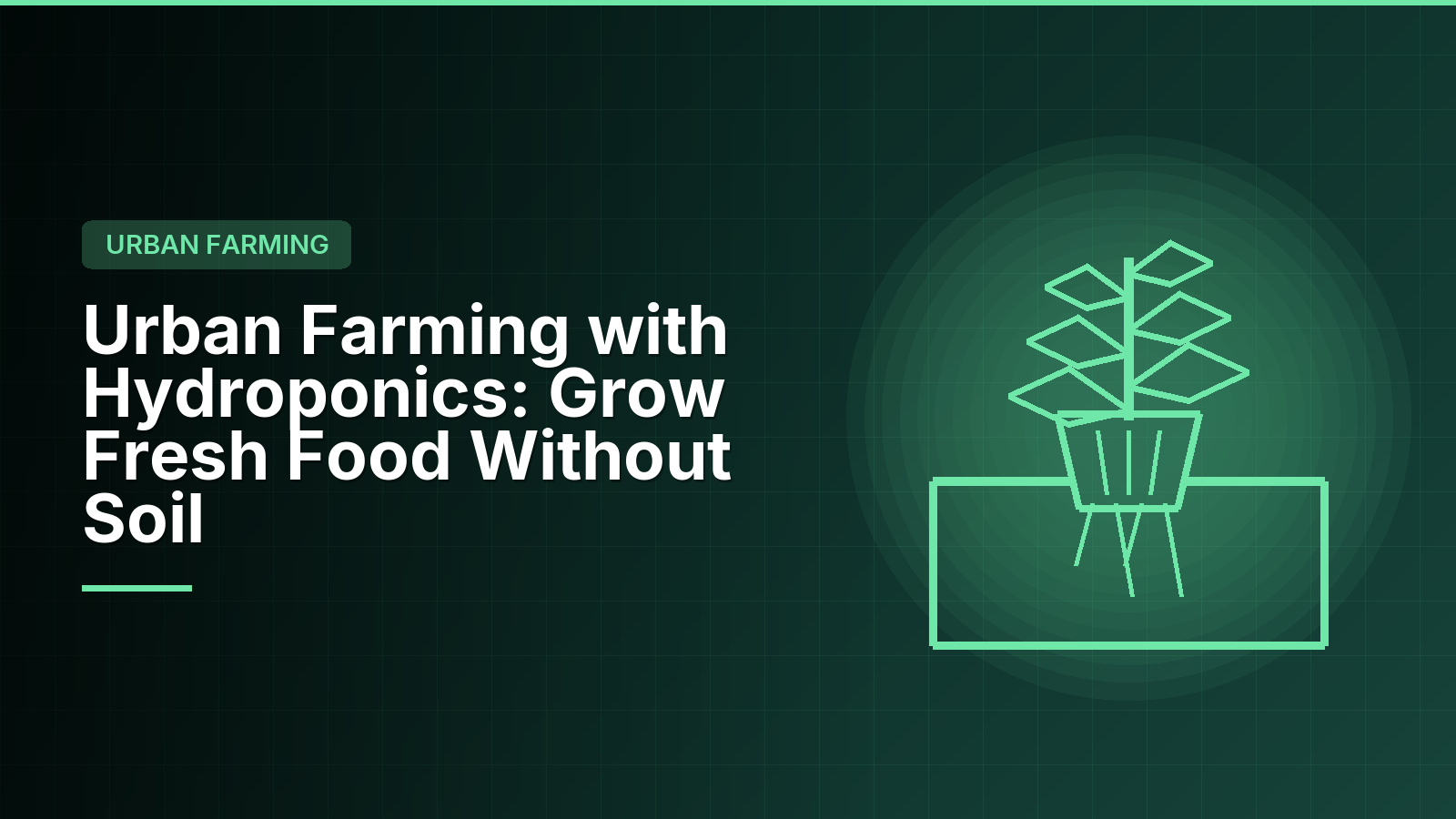 Urban Farming with Hydroponics: Grow Fresh Food Without Soil