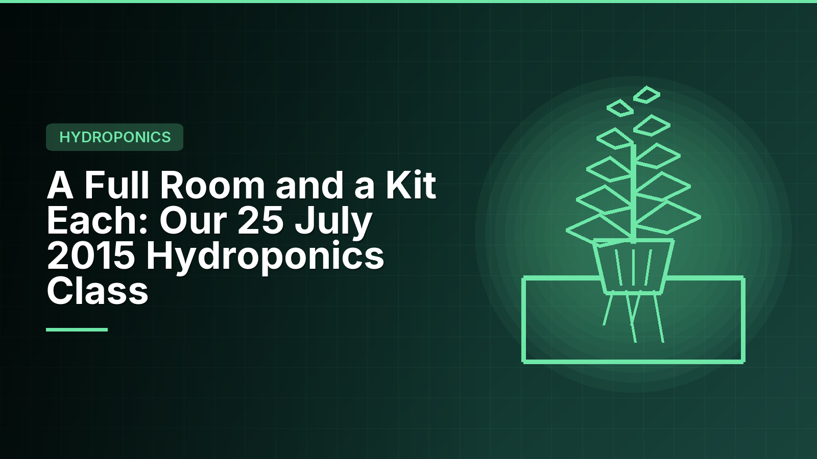 A Full Room and a Kit Each: Our 25 July 2015 Hydroponics Class