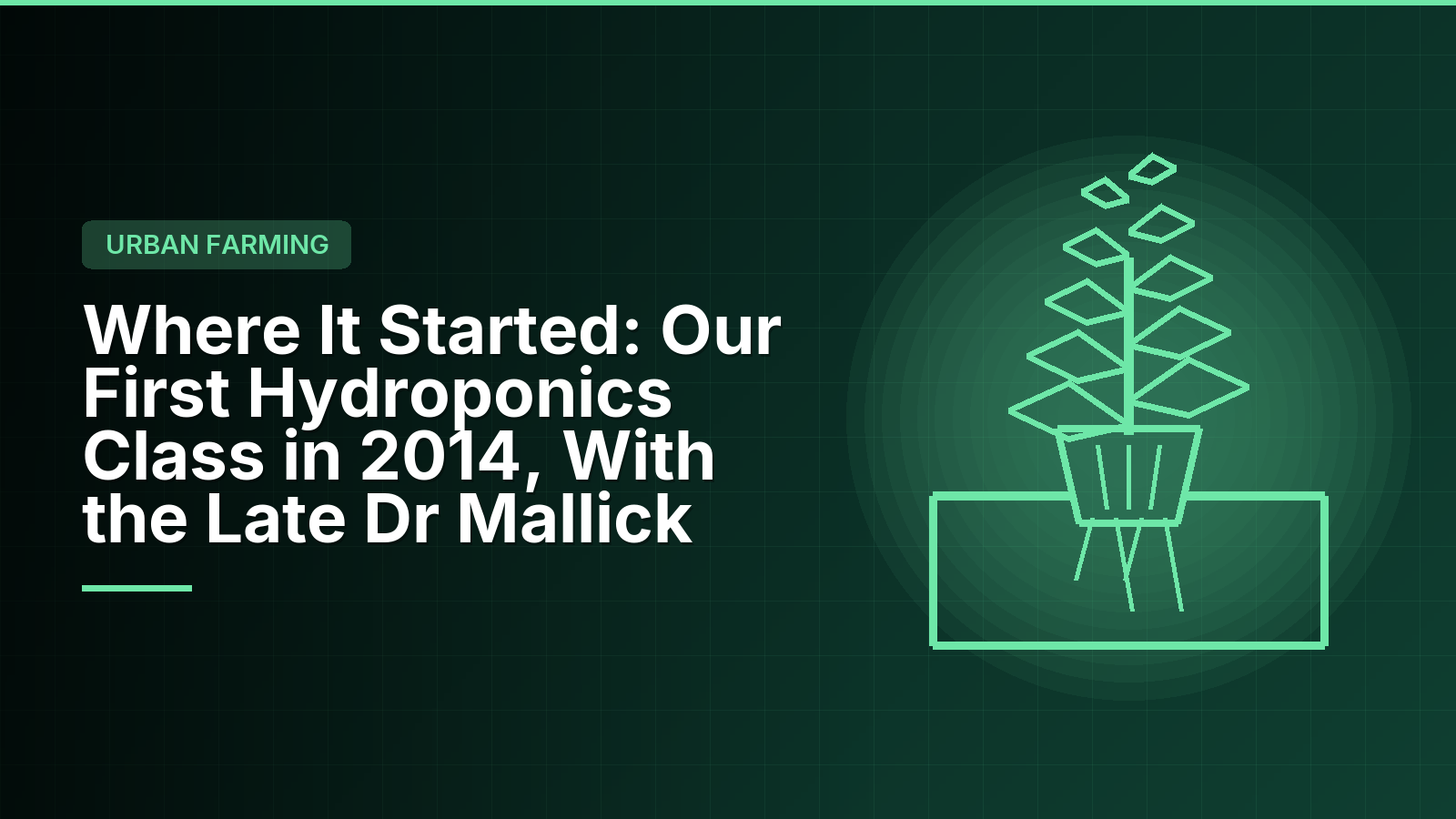 Where It Started: Our First Hydroponics Class in 2014, With the Late Dr Mallick