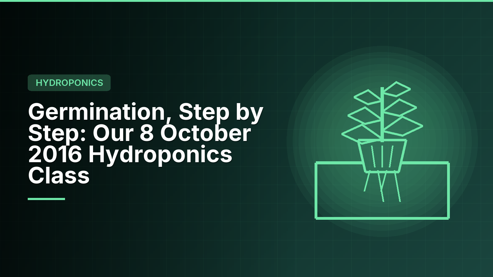 Germination, Step by Step: Our 8 October 2016 Hydroponics Class