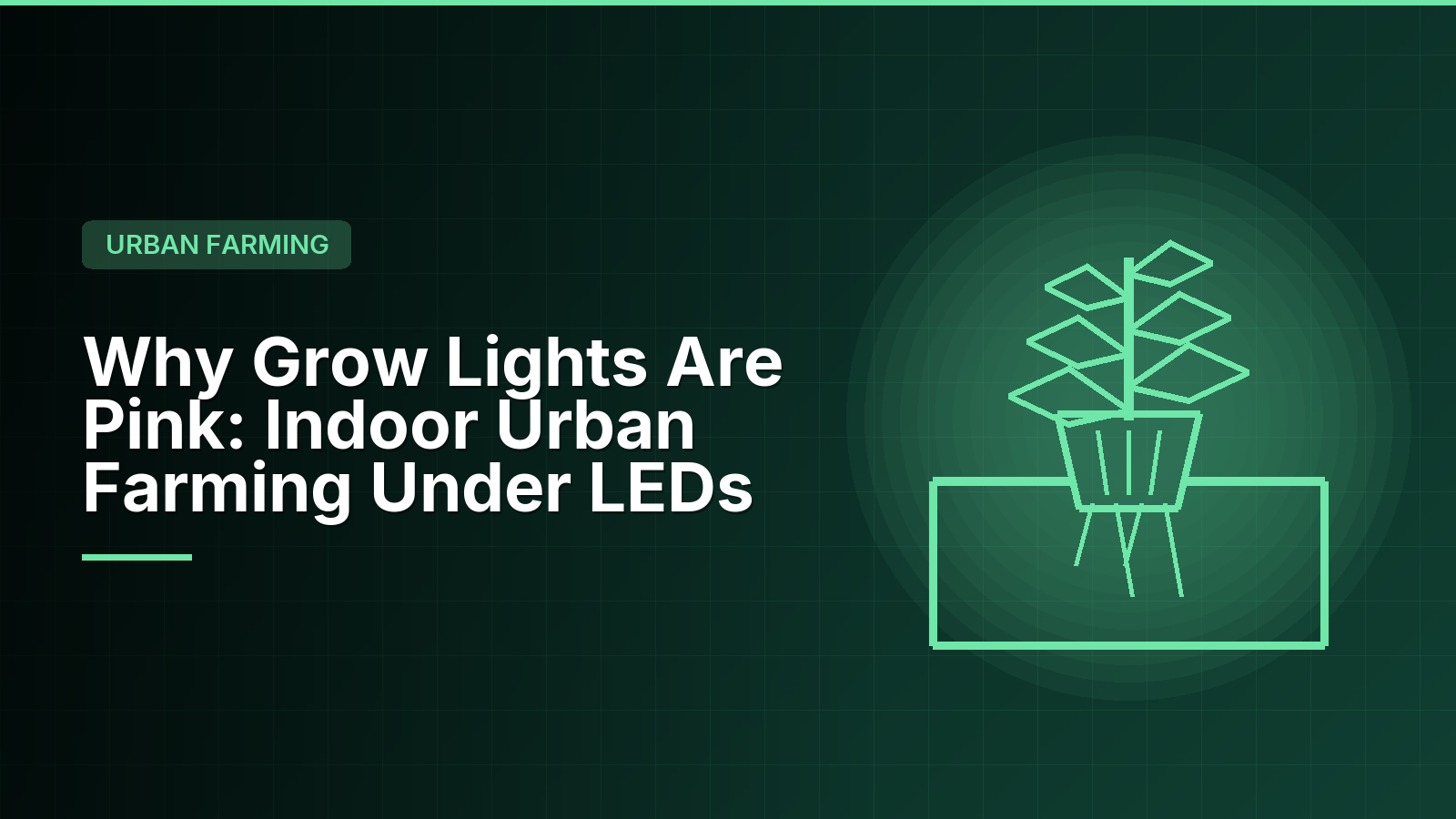 Why Grow Lights Are Pink: Indoor Urban Farming Under LEDs