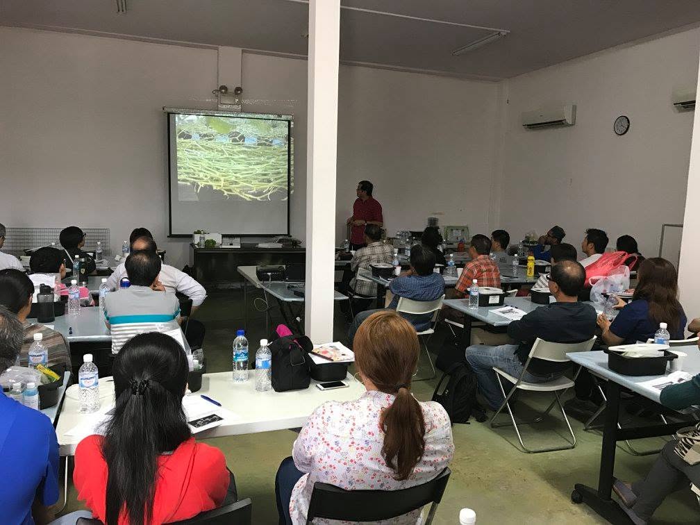 Wide view of the training room mid-session, with participants at tables and a projected slide at the front
