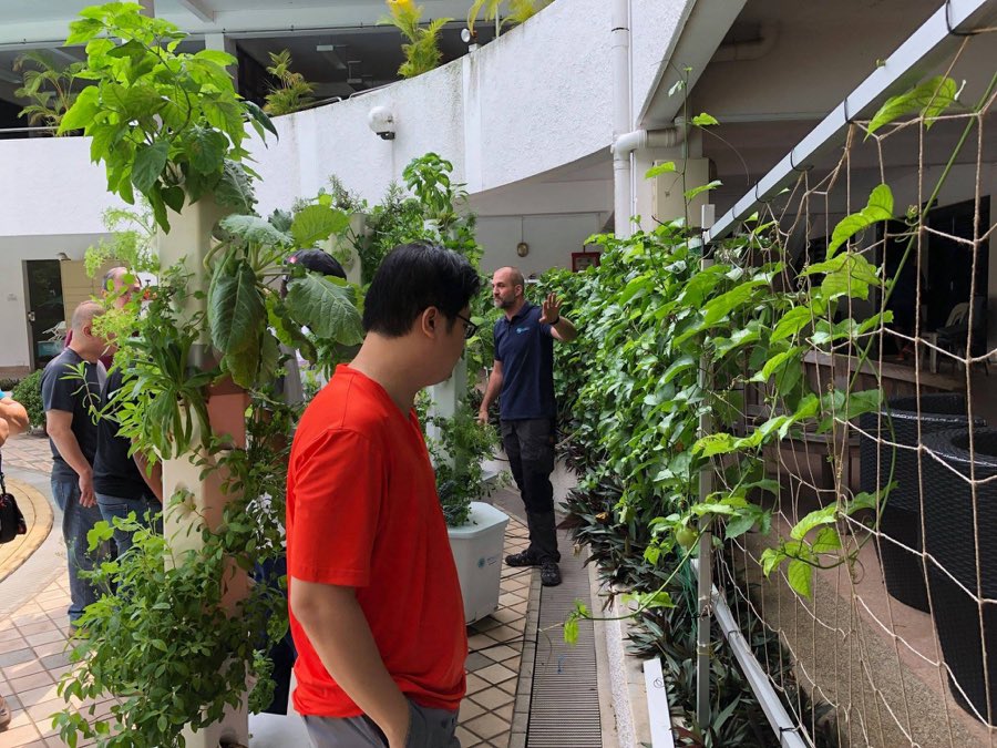 Class participants gathered around vertical hydroponic tower gardens while an instructor explains the system