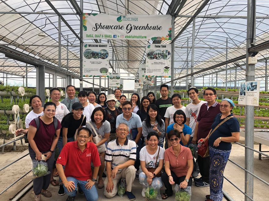 The 24 November 2019 hydroponics class posing together beneath the Showcase Greenhouse banner at a commercial Singapore farm, several holding bags of harvested greens