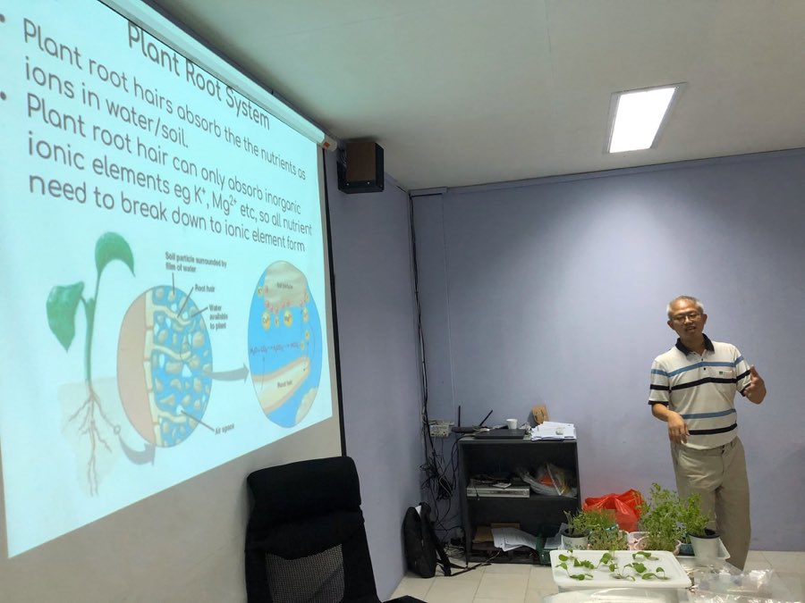 Trainer presenting a slide titled Plant Root System explaining how root hairs absorb nutrients as ions in water, with hydroponic seedling trays on the table beside him
