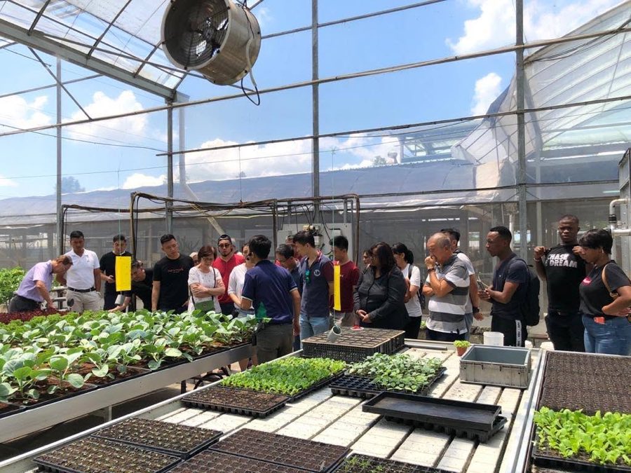 The class gathered around greenhouse benches of young hydroponic plants and seedling trays while a farm guide explains the system