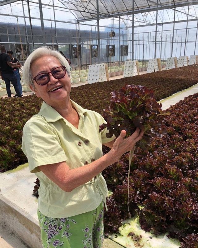 A learner smiling while holding a freshly harvested head of red lettuce with its clean white root mass still attached