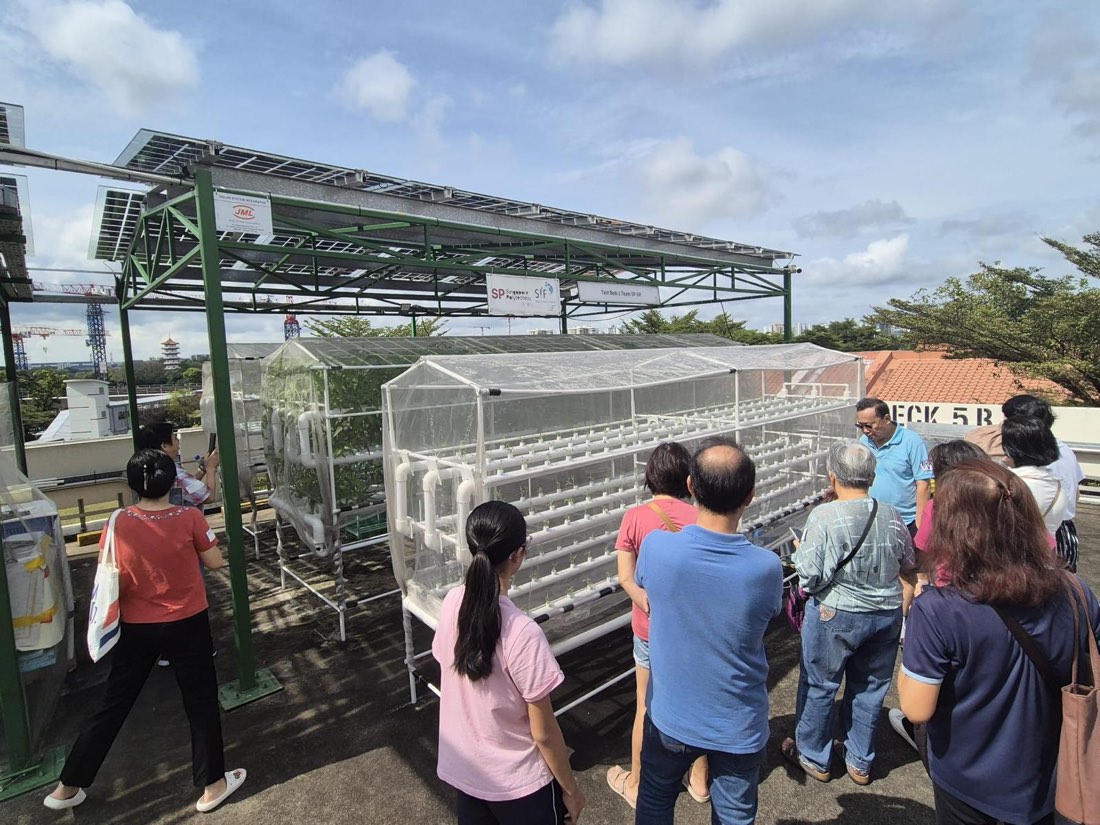 Class participants on a rooftop learning journey inspecting solar-powered NFT hydroponic grow beds under netted enclosures at Singapore Polytechnic