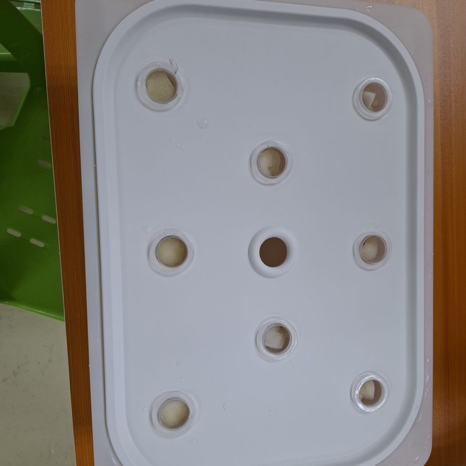 The completed hydroponic kit lid with eight planting sites, each holding a net pot and grow sponge, plus a central fill hole