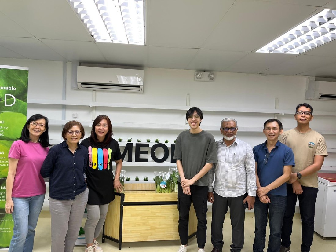 Participants of the WSQ Basic Urban Farming with Hydroponics class on 6 June 2026 at MEOD Farm, standing beside an indoor hydroponic grow rack with harvested leafy greens