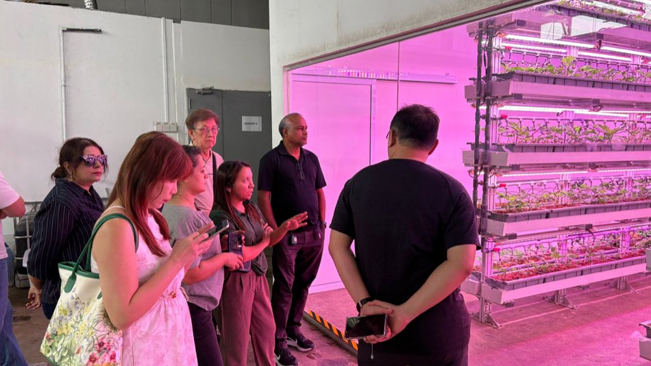 The class gathered beside a tall multi-tier rack of young strawberry plants lit by pink LED bars, next to a door marked Nursery 3