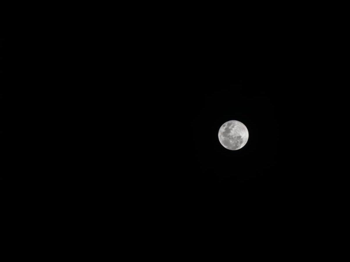 A full moon rendered small and detailed against a black sky, exposed correctly on a smartphone