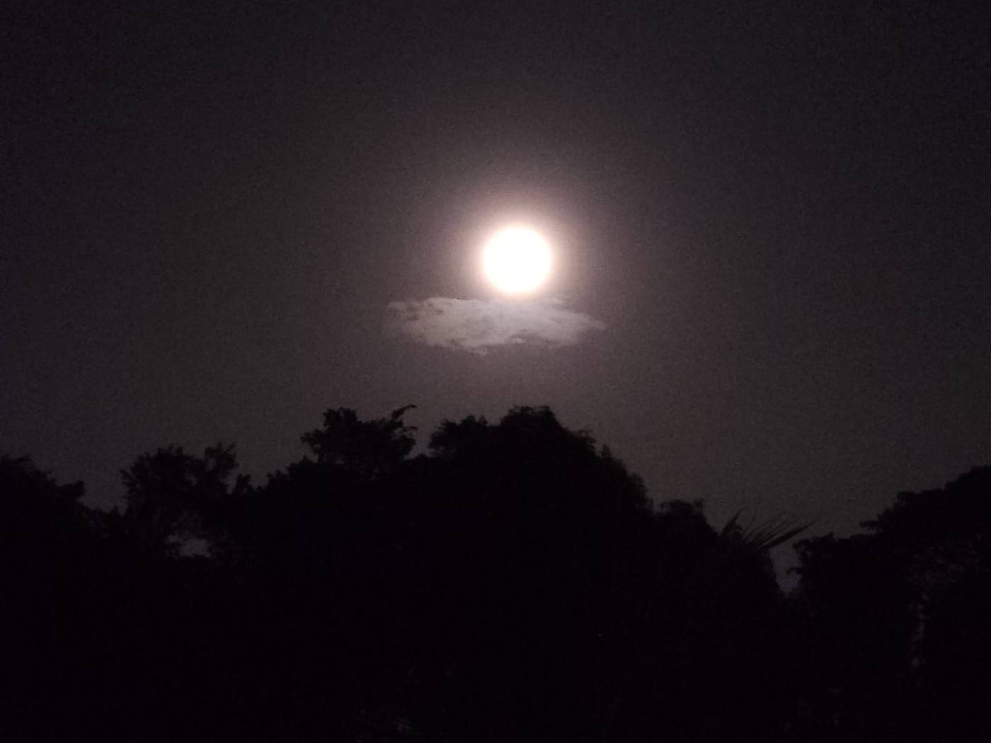 Full moon glowing above a silhouetted treeline with a small moonlit cloud beneath it, shot on a smartphone at night