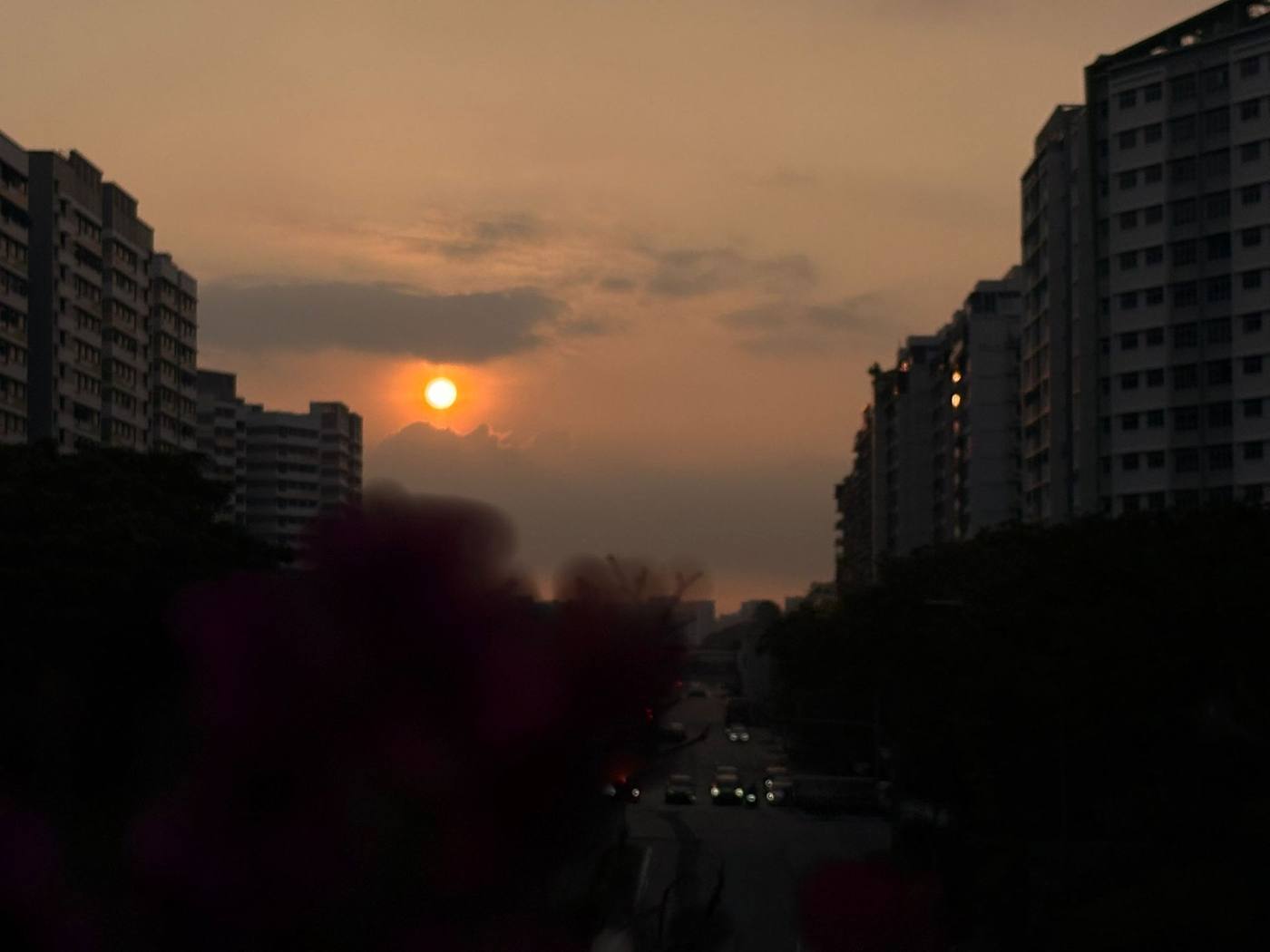 Sunset over an HDB estate with the sun balanced between blocks and soft flower silhouettes in the foreground, shot on a smartphone