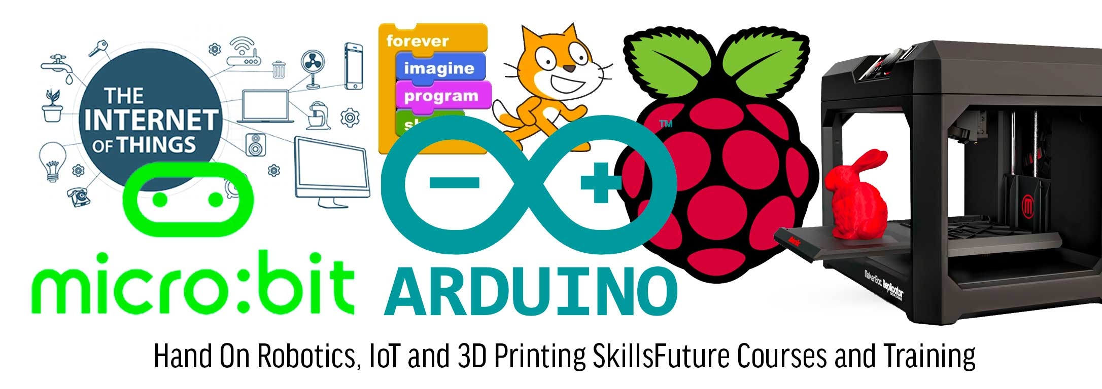 Raspberry Pi