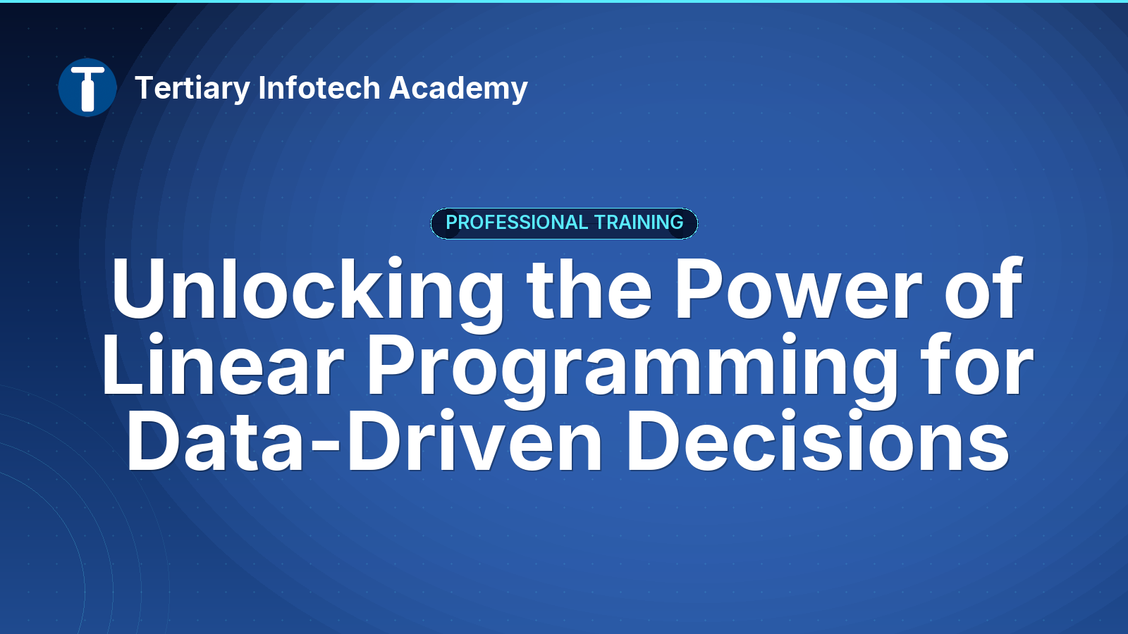 Linear Programming Optimisation