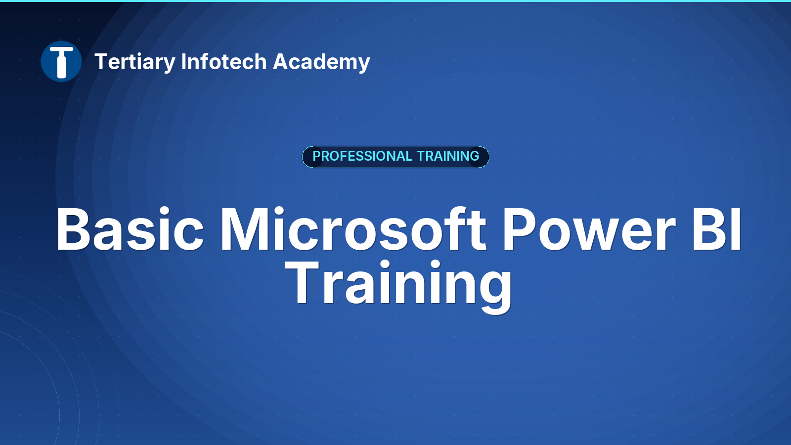Basic Microsoft Power BI Training