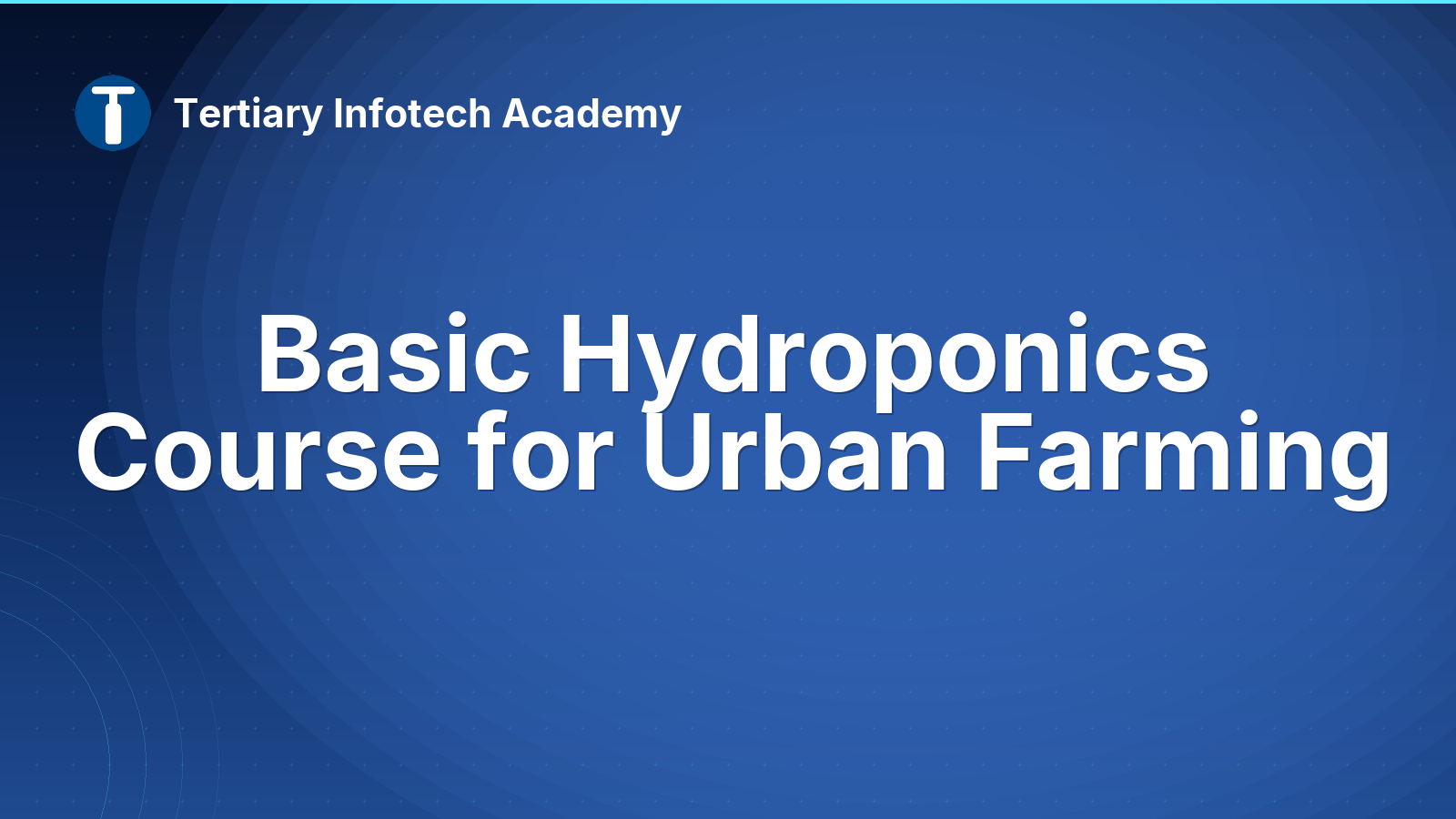 Basic Hydroponics Course for Urban Farming
