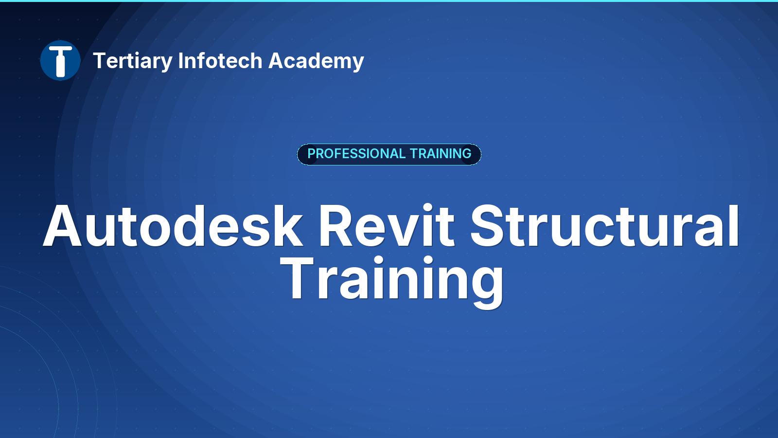 Autodesk Revit Structural Training