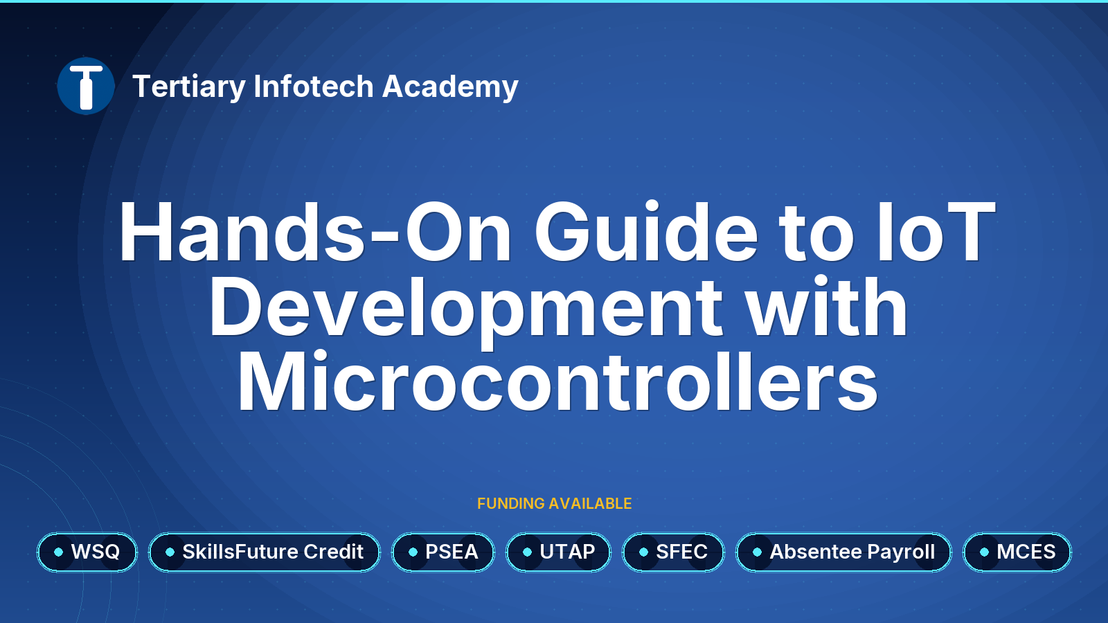 WSQ - Hands-On Guide to IoT Development with Microcontrollers