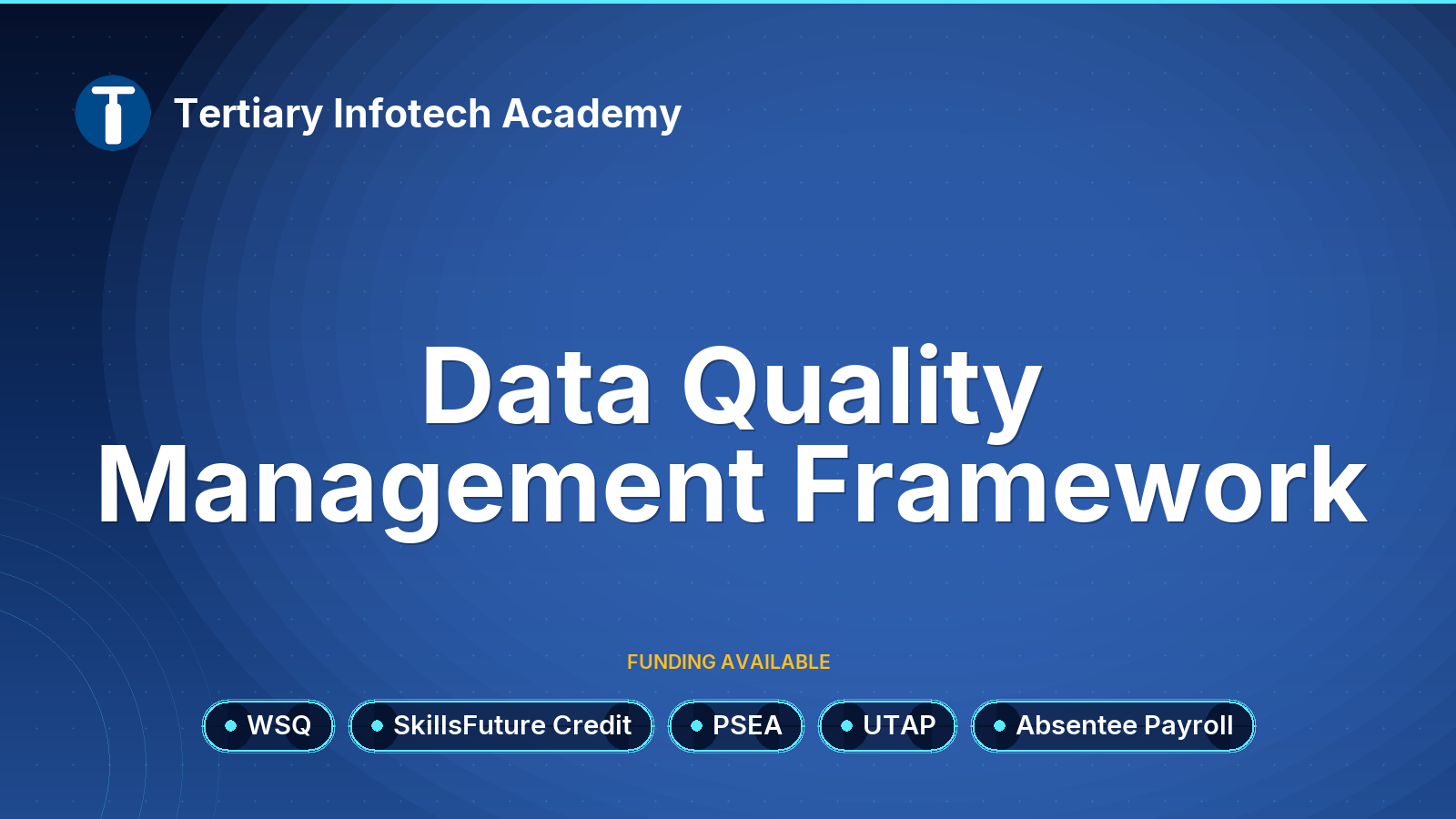 WSQ - Data Quality Management Framework